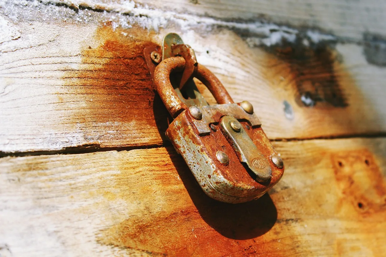 Foto bij het artikel SSL-certificaten en HTTPS: wat is verplicht voor je webshop?